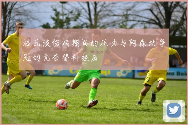 格瓦谈伤病期间的压力与阿森纳争冠的无奈替补经历