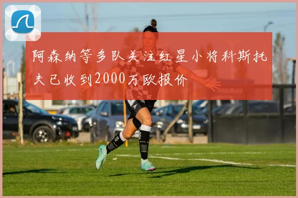 阿森纳等多队关注红星小将科斯托夫已收到2000万欧报价